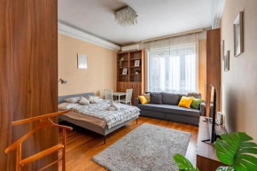 luxury design flat in the center